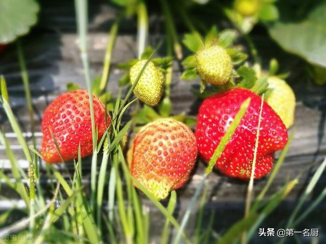 春天宁可不吃肉，也要多吃这“4菜2果”，营养又美味，越吃越健康