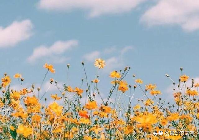 生活不容易，看淡才幸福！（深度好文）