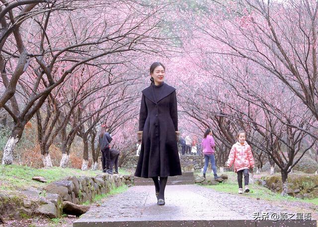 阳明温泉山庄附近景点  阳明温泉山庄