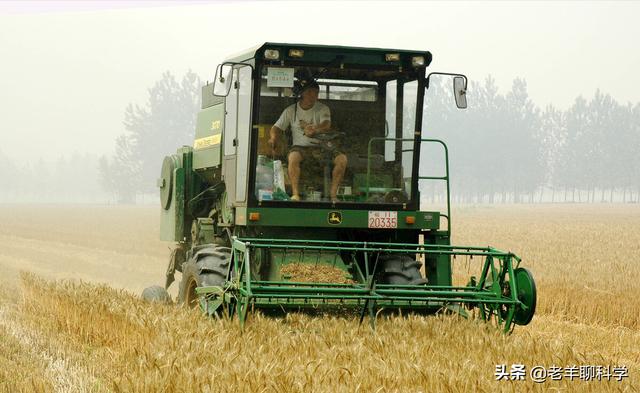 美国小麦亩产多少？与中国有何差距？为何说他抢了世界人民的饭碗18