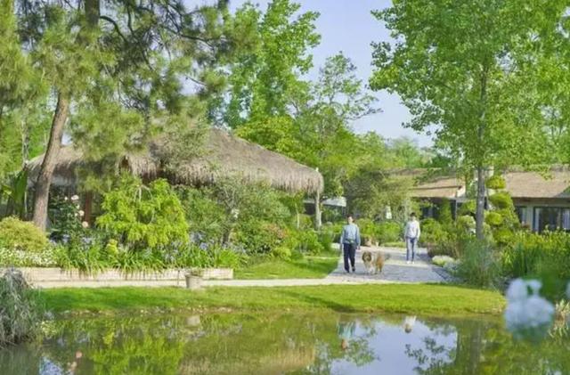 腾讯元老魏震：赚够钱后果断辞职，携妻儿退隐山林，每天种地喝茶