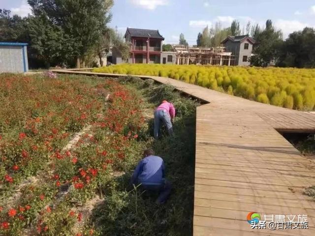 清清泉水过滤机总公司