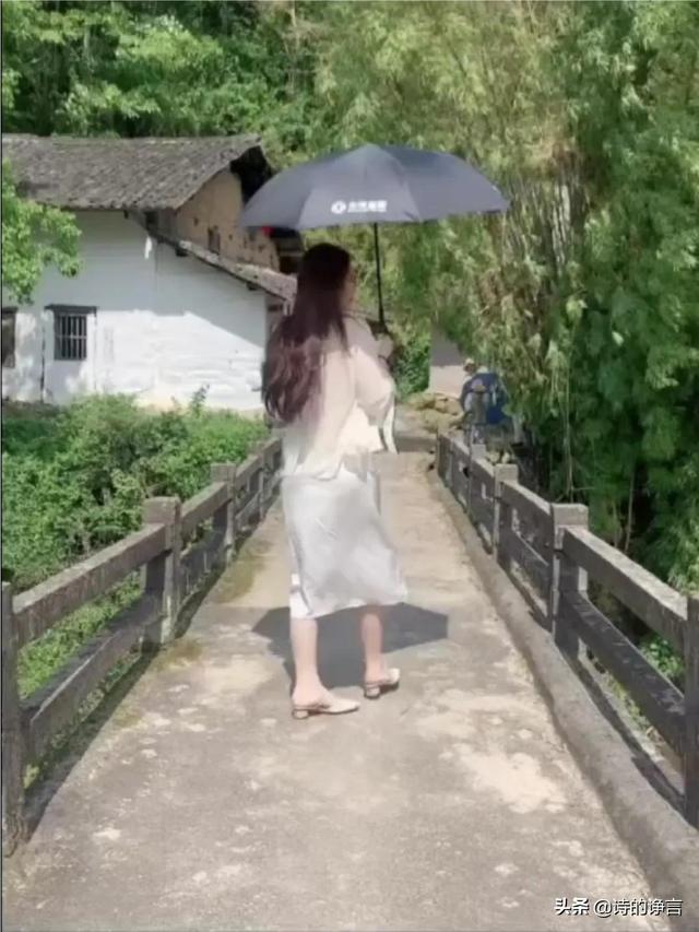 爱在清新的世界里