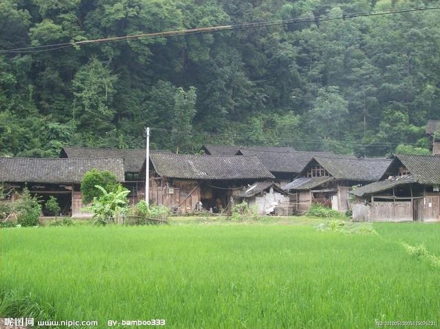 跟着父亲上北山