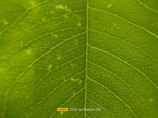 1299元就能买到60W快充手机？realme Q5做到了