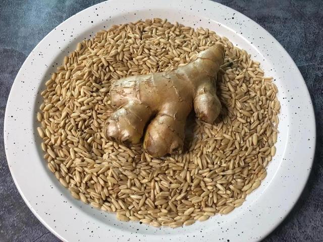 燕麦米和生姜炒一炒，没想到这么厉害，我家一年四季都在喝