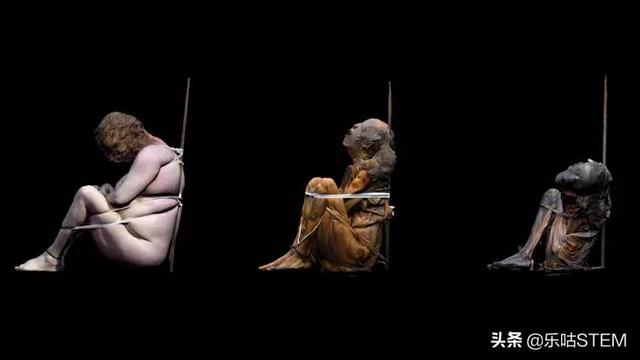 葡萄牙发现世界上最古老木乃伊