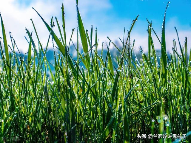 开春养生好时节，推荐7个不用花钱的养生方法，一年远离疾病
