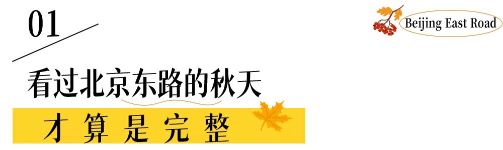 北京東路，喜提秋天