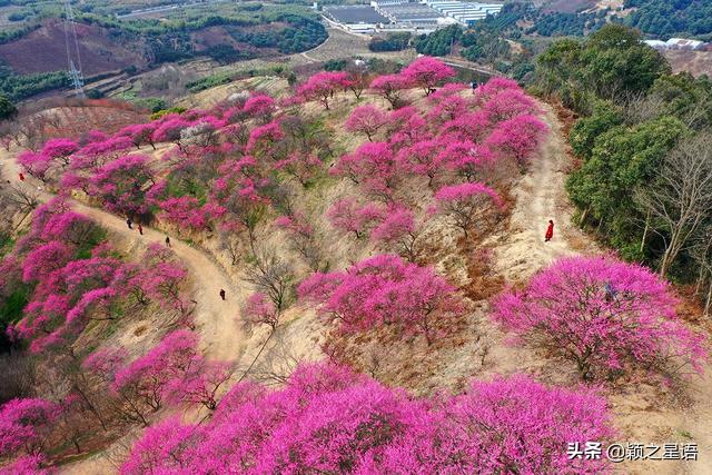 阳明温泉山庄