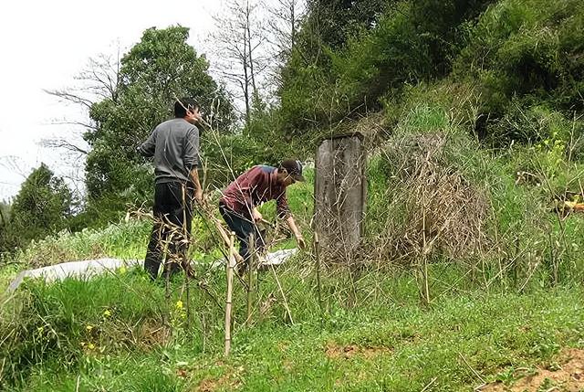 https://blog.sina.com.cn/s/blog_a654dd600102z14o.html