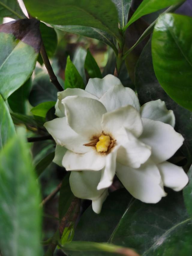 婚外真爱大结局(婚外真爱大结局视频)