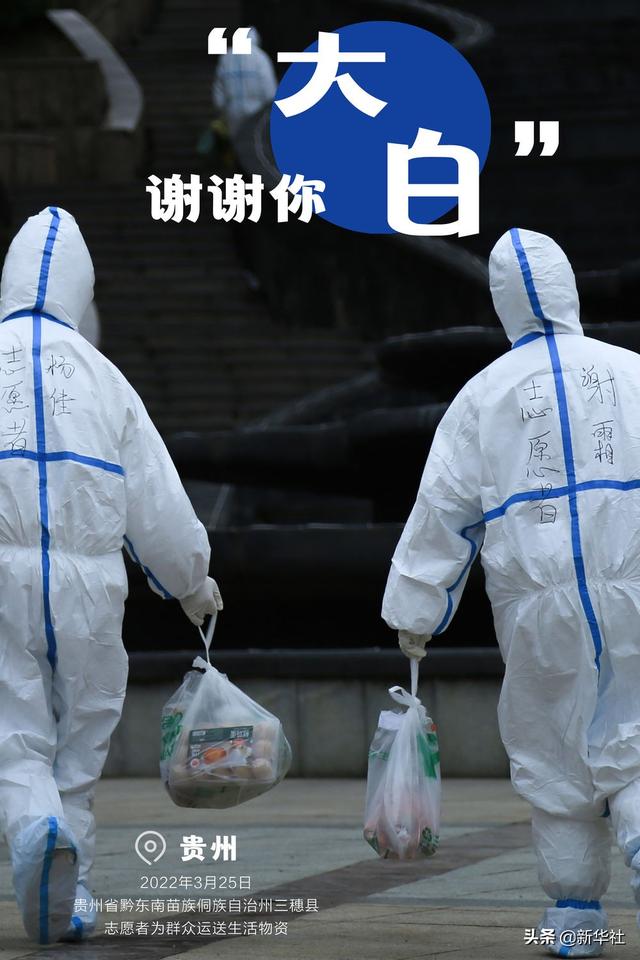 谢谢你，“大白”