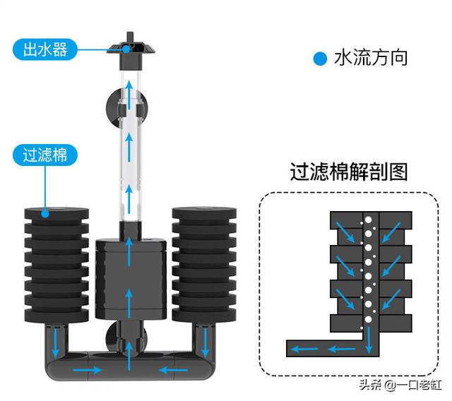 鱼缸过滤器 鱼缸过滤器（鱼缸过滤器里有蚂蟥） 动物