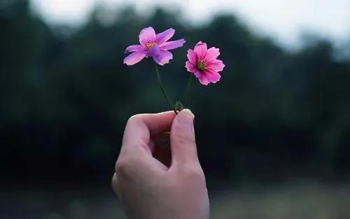 「散文」陌上花开缓缓归