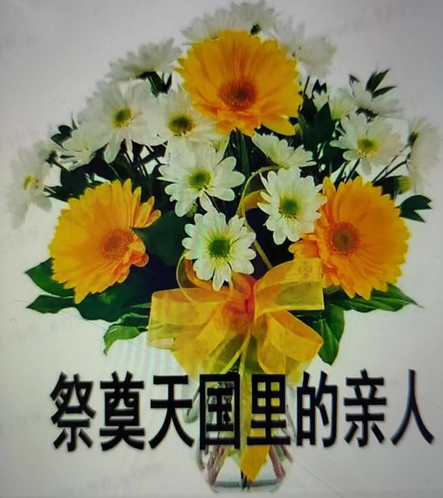 https://blog.sina.com.cn/s/blog_95b83d1401030ld8.html