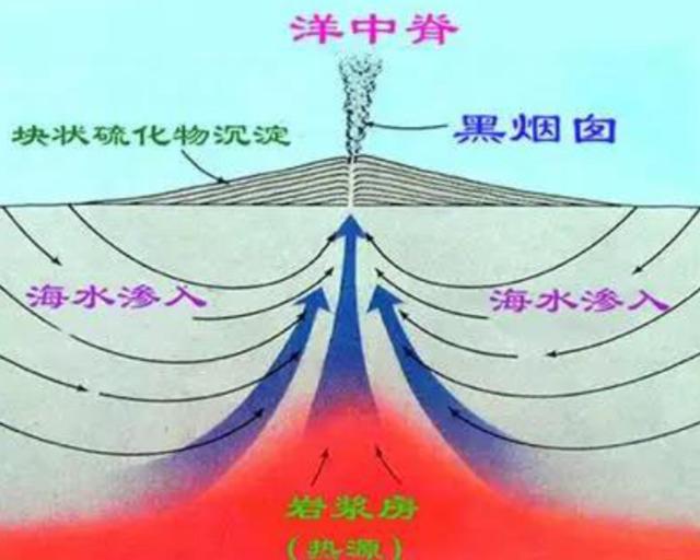 人类为什么只探索了5%的海洋？人类在深海中，发现了什么？