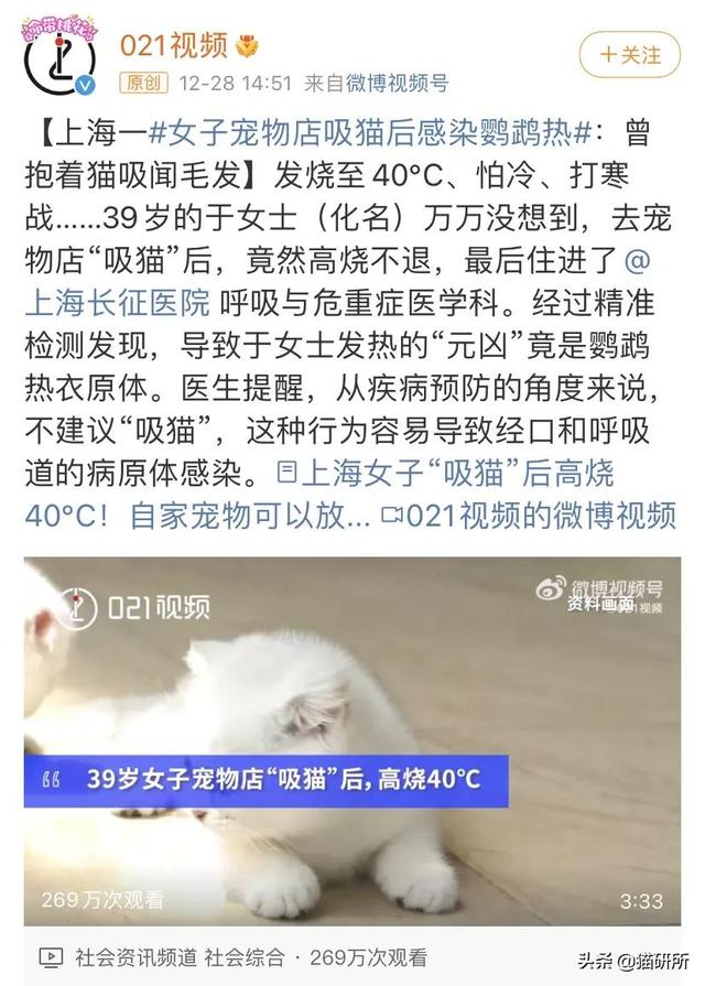 猫传染病