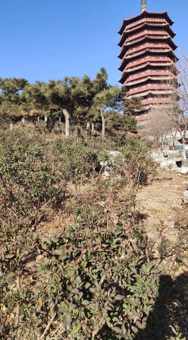 歲末年尾，到北京園博園逛一逛