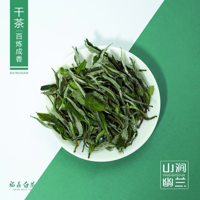 我是荒野白牡丹，生长在高山荒野山林中，感恩与你的相遇