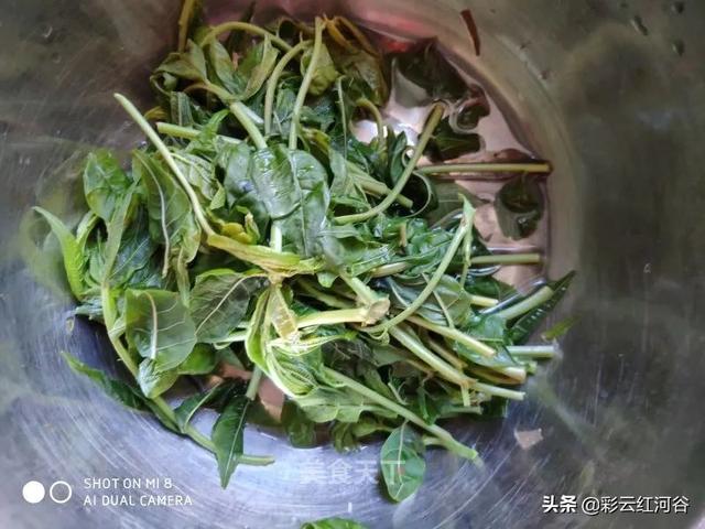 清明时节吃什么？健康一身轻