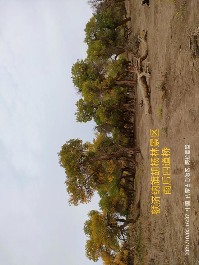 西行漫記之10月5日內蒙古篇