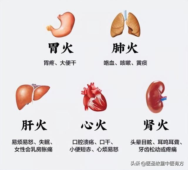 肺火、肝火、心火、胃火、肾火，你上的火属于哪一把？快来浇灭它