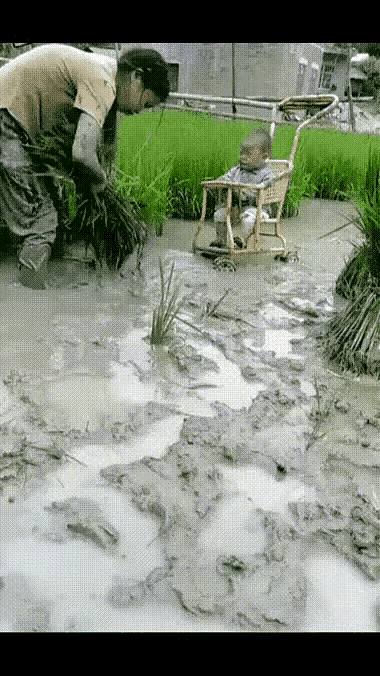 献给勤劳的女人