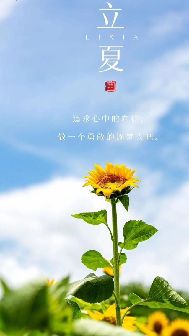 「2022.05.05」早安心语，立夏正能量最棒入心语录句子 立夏图片