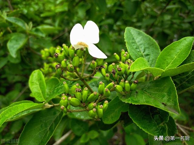 明日谷雨，牢记：3不吃，3不贪，3要忌，平安迎夏天，早懂早受益