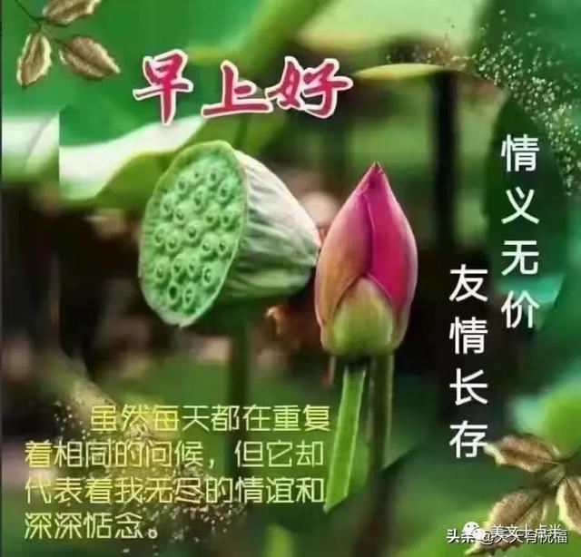 4月25日好友的美好愿望与我的回复（2022年）