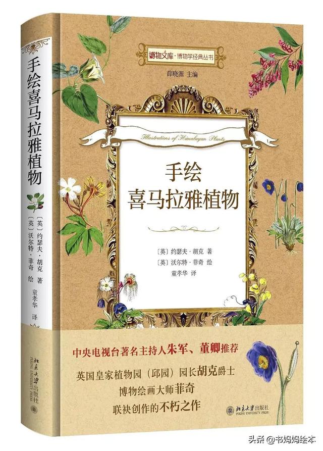 10本植物科普书籍推荐，让孩子在家也能探索大自然的奥秘