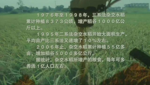 万小刀：清明节，怀念那个让我们吃饱饭的人