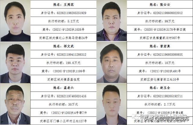 曝光! 武都区法院公布2022年第一批失信被执行人名单（172人）
