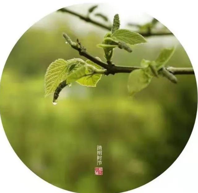 https://blog.sina.com.cn/s/blog_95b83d1401030ld8.html