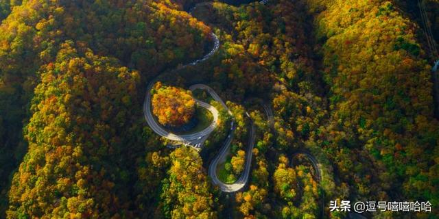 20 條很棒的路線——體驗偉大的高山公路
