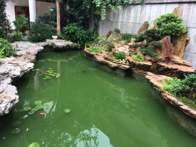 固液过滤机的价格