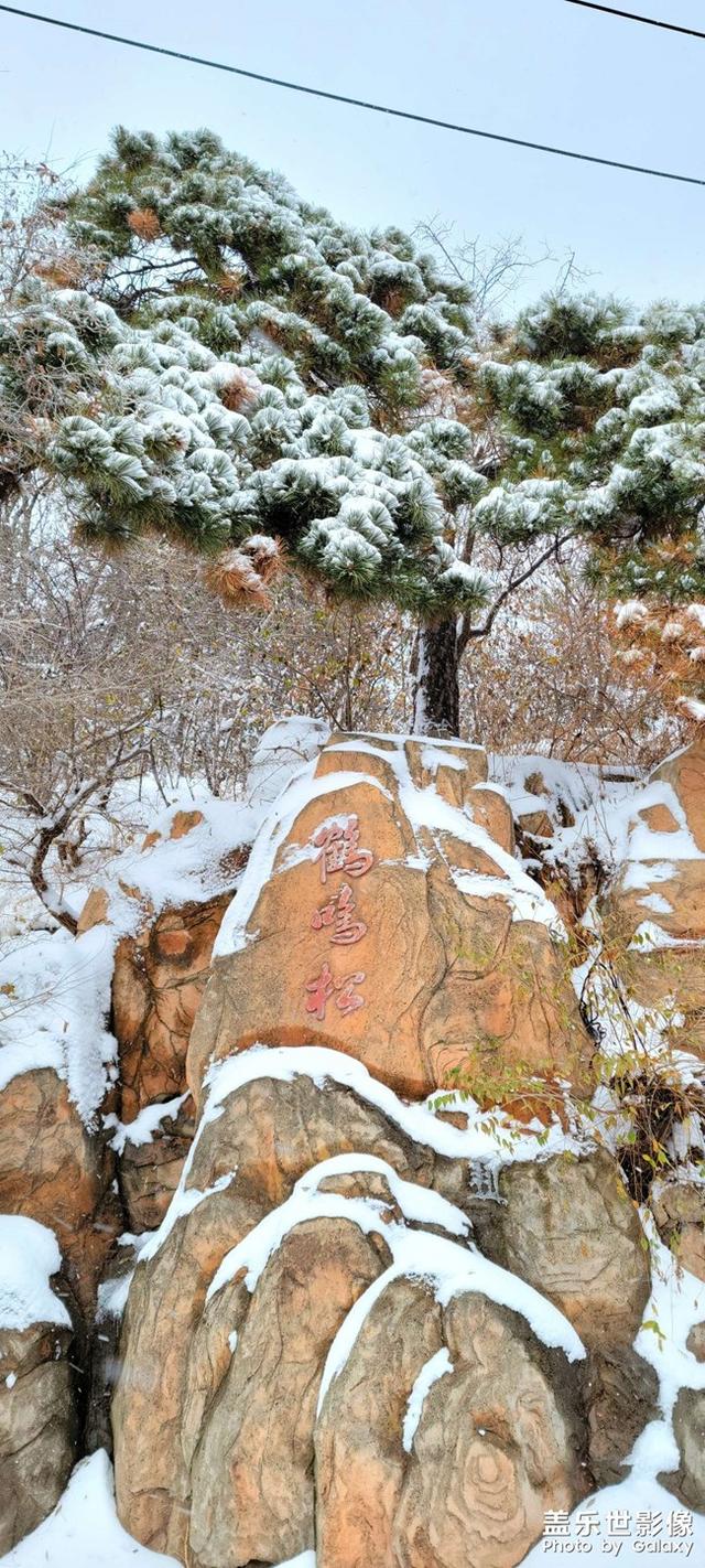 快来欣赏三星Galaxy S21 Ultra镜头下的东北辽宁最美雪景吧