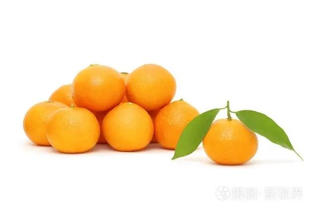 春季养生与感冒