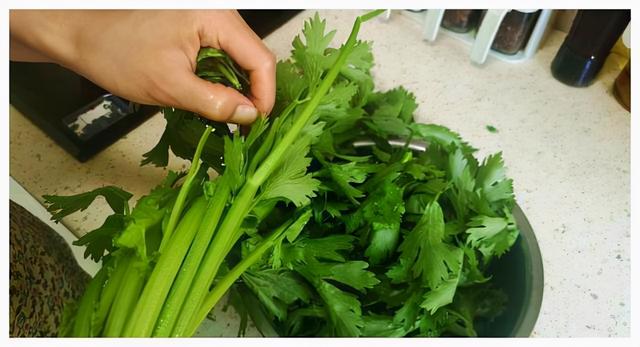 吃芹菜为什么不吃叶子？或许很多人都不清楚，不妨详细了解一下