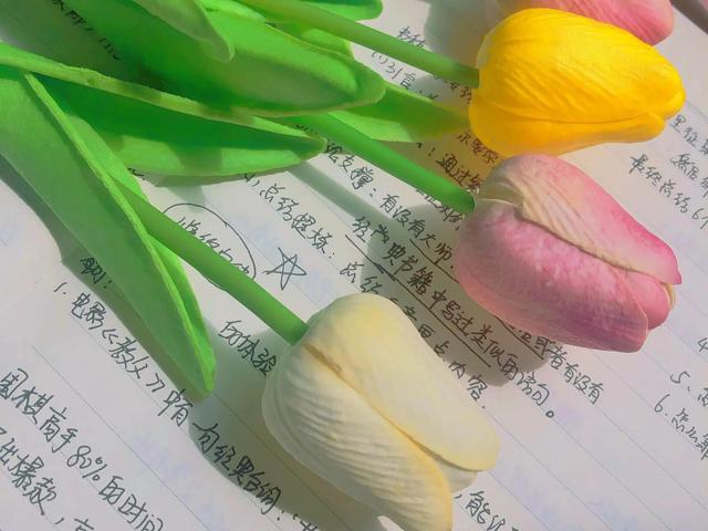 普通人想开始写作，需要具备的5个底层能力