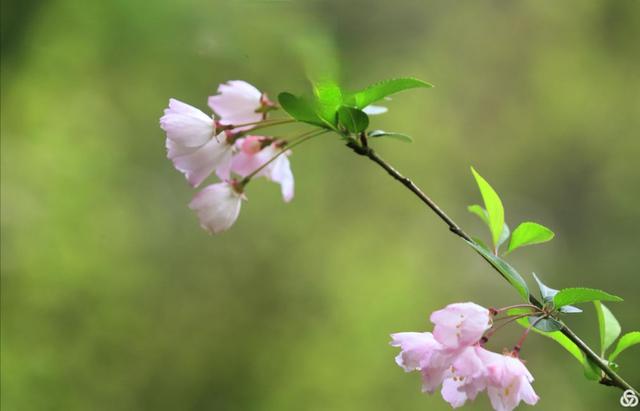 梦。。。。