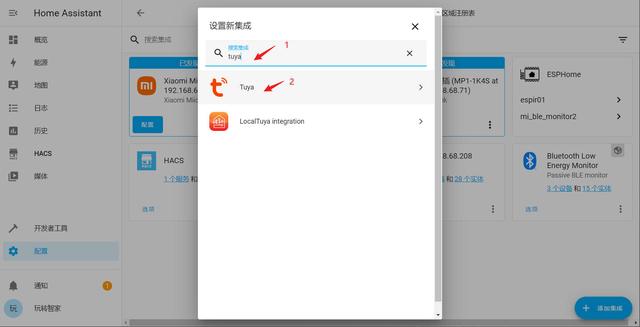 品类齐全的涂鸦智能家居设备一次全部接入homeassistant教程