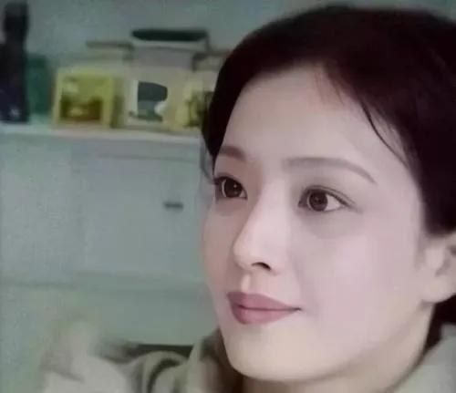 德国牧羊犬阿托斯
