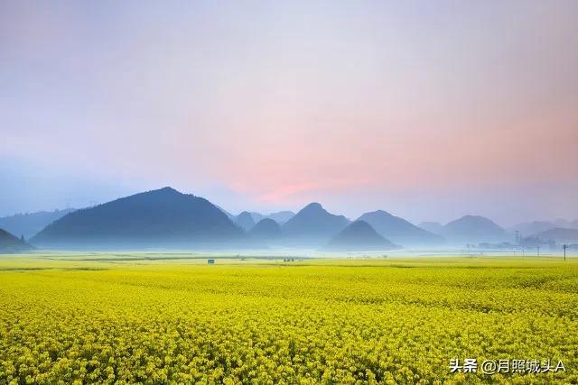 散文：春心若在，风景自在