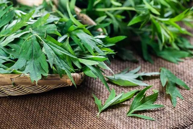 春分，不论贫富，记得吃“1白2黑3绿”！应季而食，健康过春天