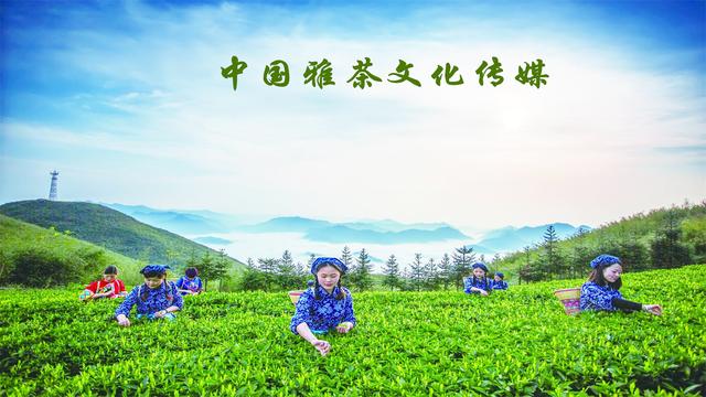 迟日江山丽，四月雅茶香