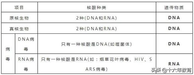 萨顿假说