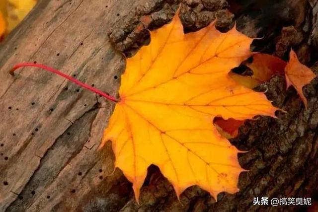 人的命天注定