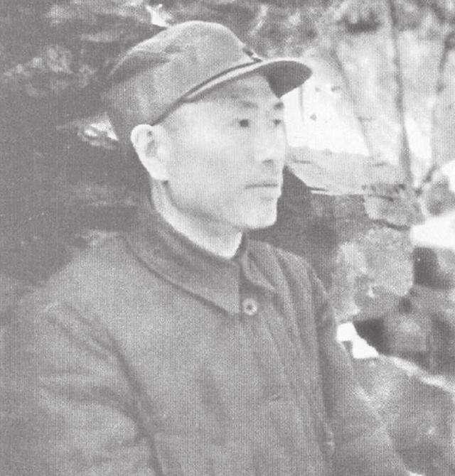 解放海南岛的是四野15兵团，为什么负责总指挥是叶剑英而不是林彪